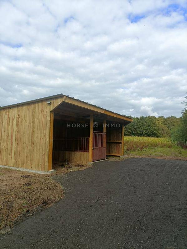 Equestrian property  Vendée
