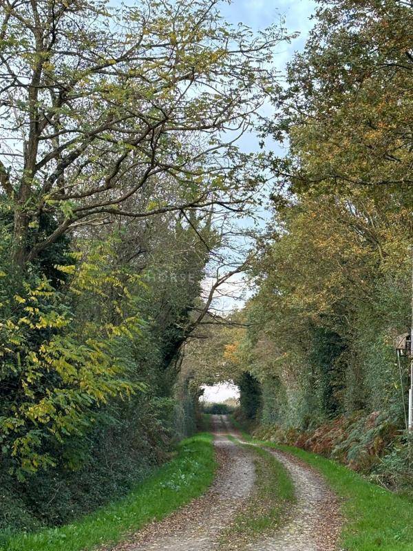 Equestrian property  Vendée