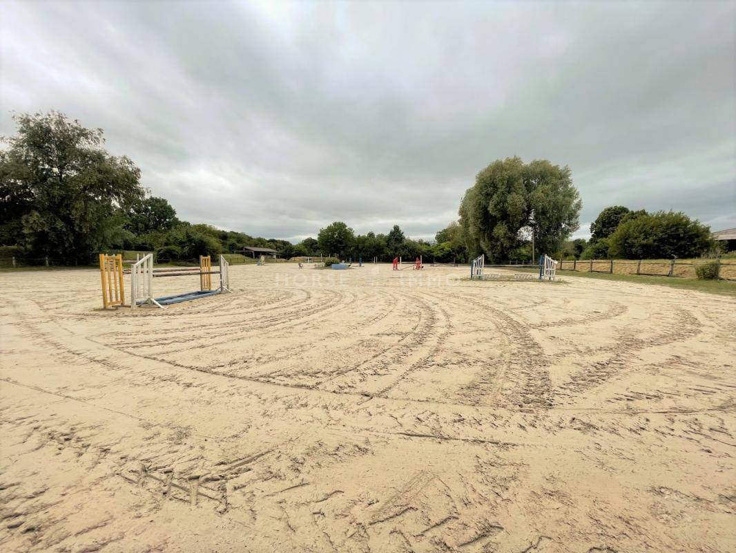 Stud farm  Seine-et-Marne