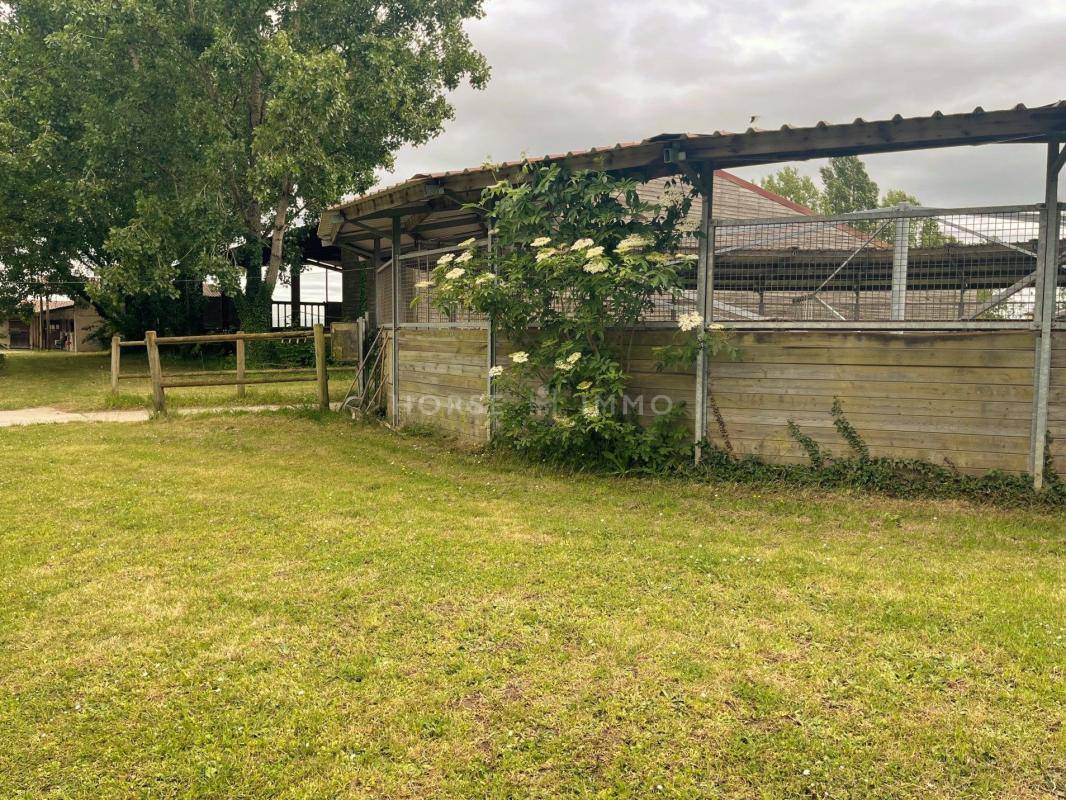 Stud farm  Seine-et-Marne