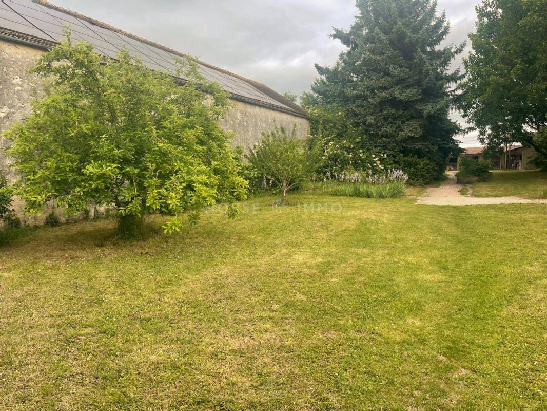 Stud farm  Seine-et-Marne