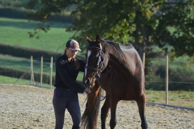 Horsemanship riding clinic Saône-et-Loire