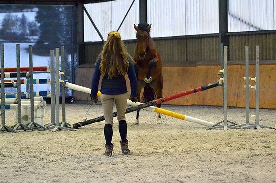 Horsemanship riding clinic Saône-et-Loire