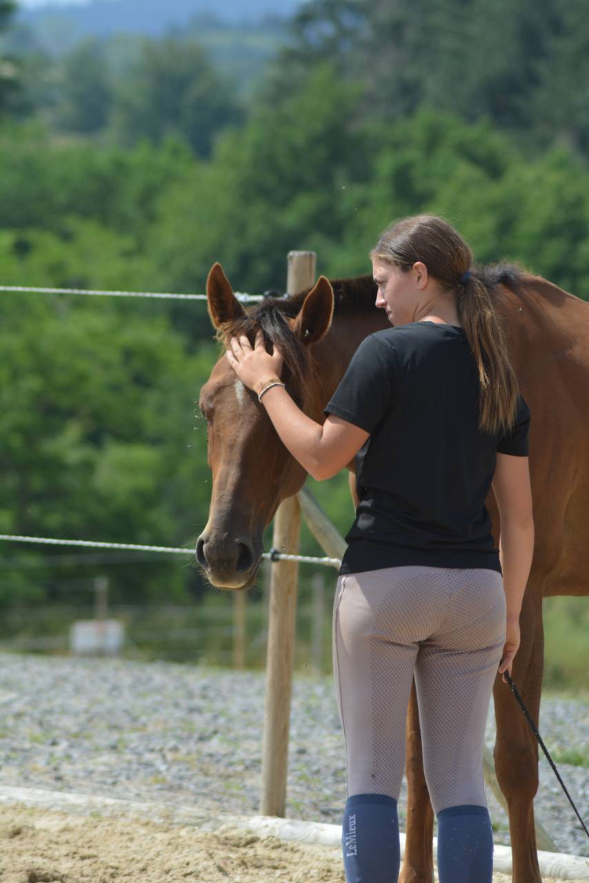 Horsemanship riding clinic Saône-et-Loire