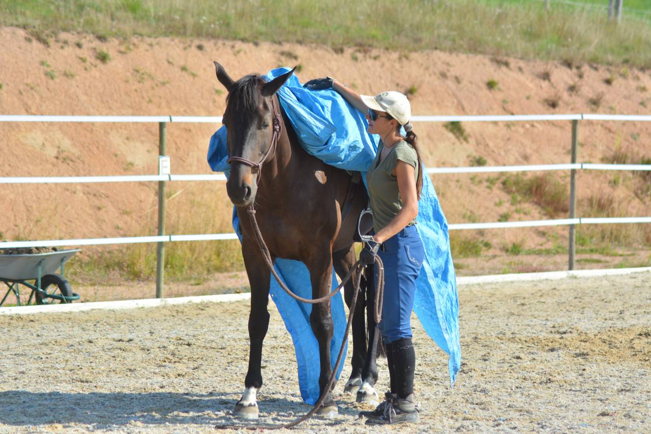 Horsemanship riding clinic Saône-et-Loire