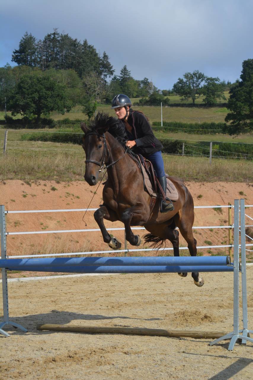 Horsemanship riding clinic Saône-et-Loire