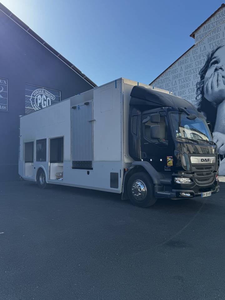 Horsebox NON-HGV Daf Conceptpgo 10 2019 Used