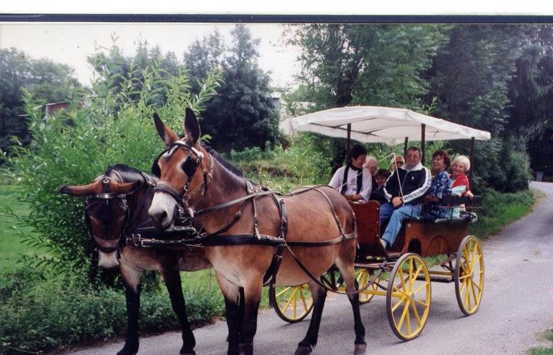 Carriage - Wagonnette Berrard  