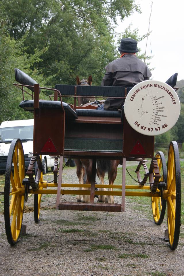 Carriage - Wagonnette Berrard  