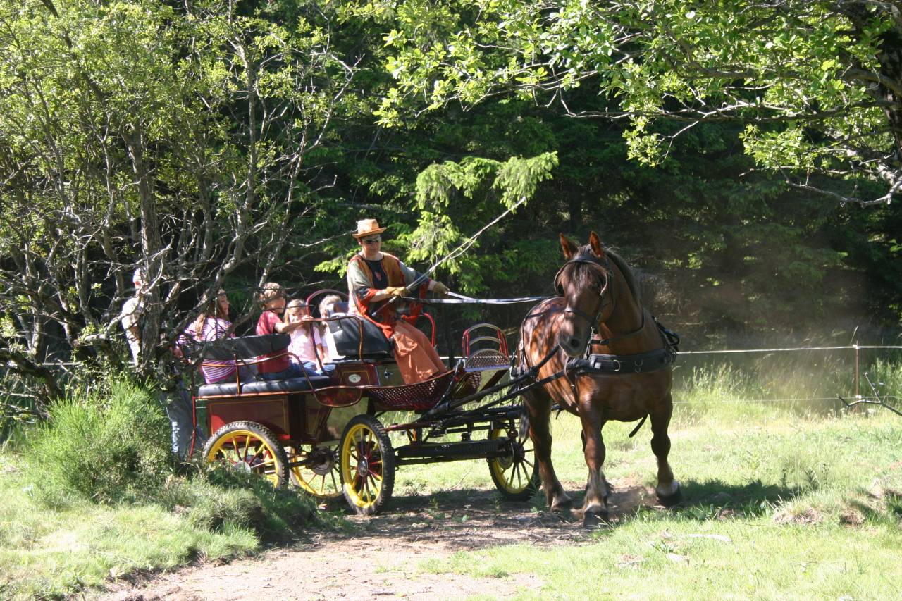 Carriage - Brake - Other brand - marathon ralong&eacute; tourisme RANDO 