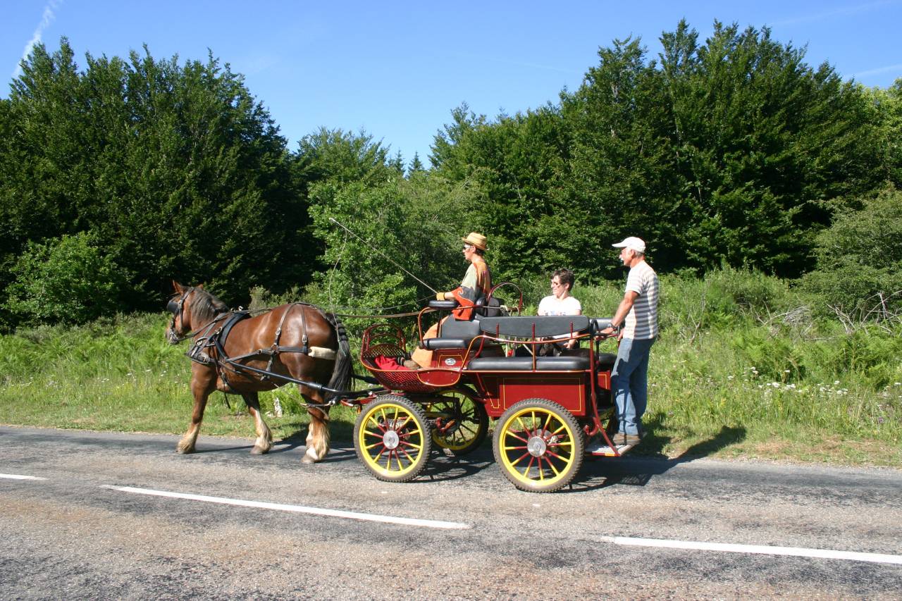 Carriage - Brake - Other brand - marathon ralong&eacute; tourisme RANDO 