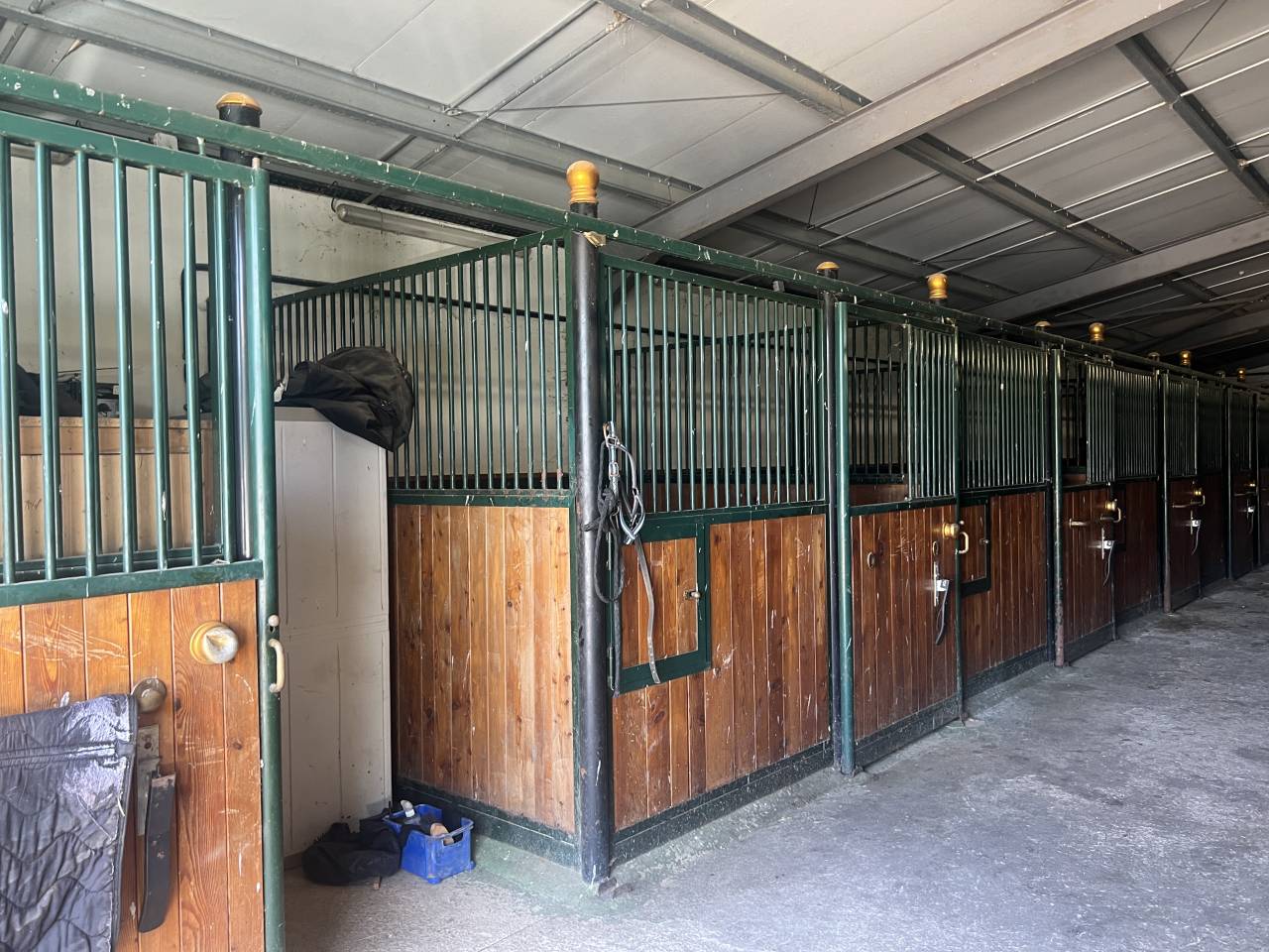 Luxurious equestrian property  Var