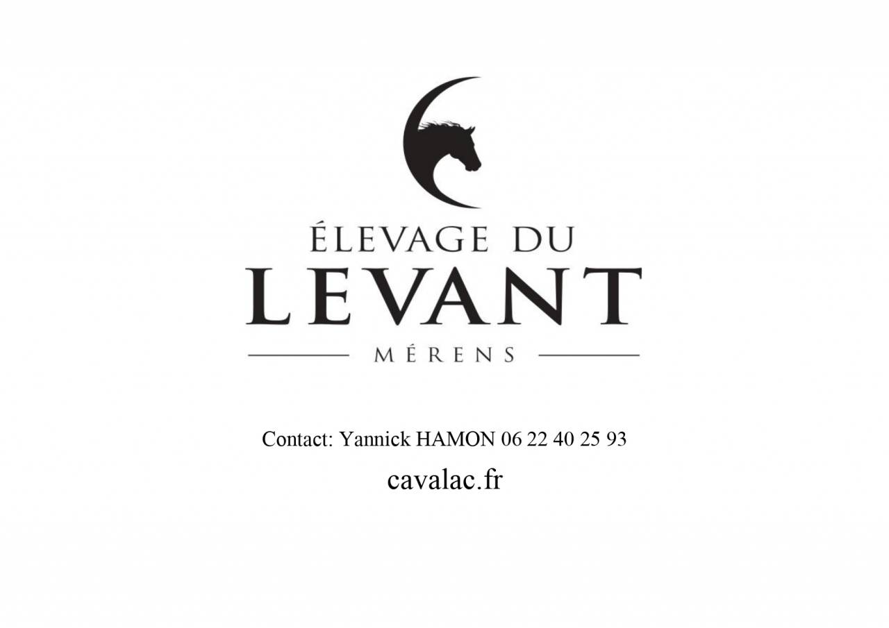 Mare M&eacute;rens For sale 2019 Black