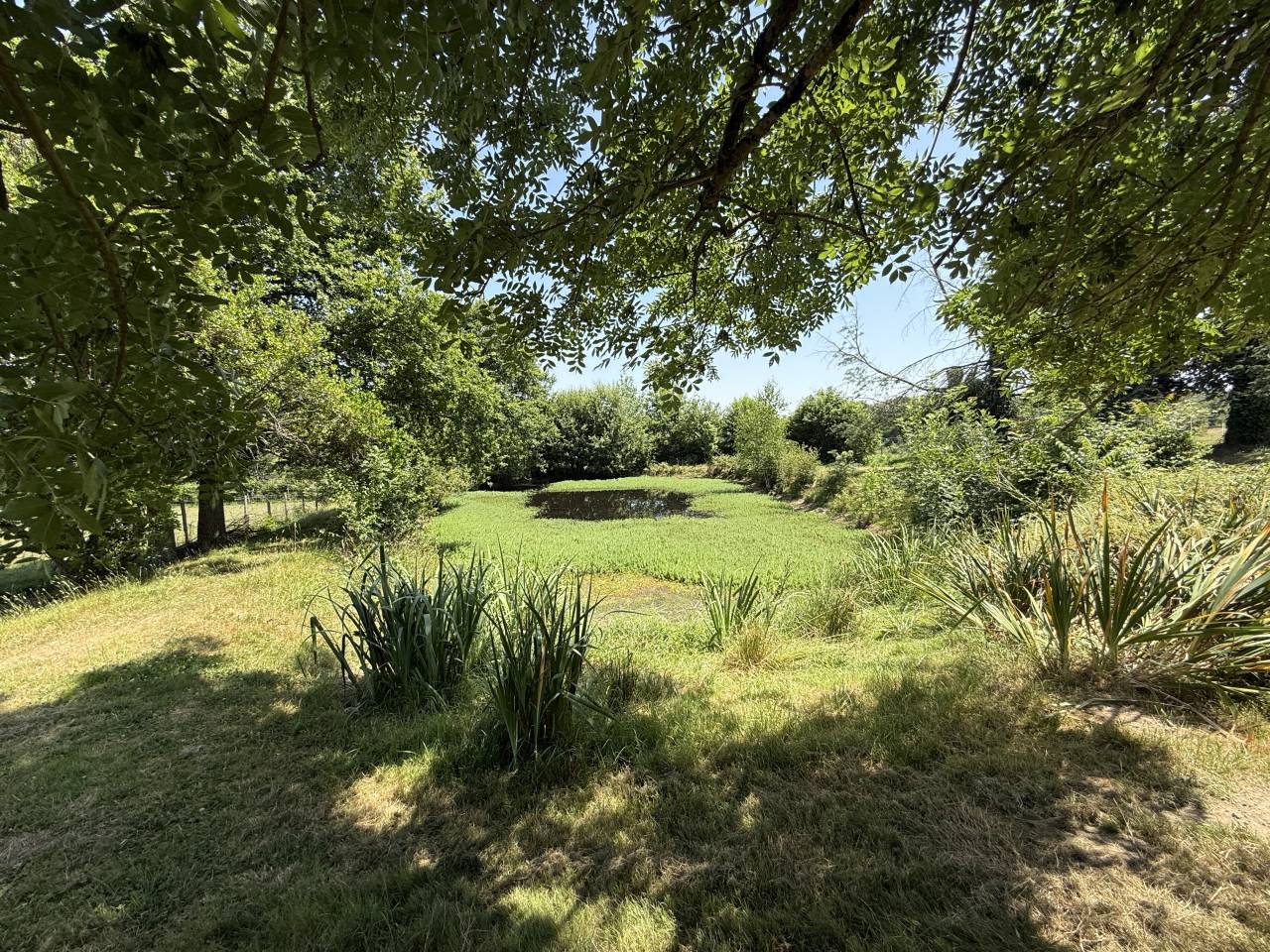 Equestrian property  Dordogne