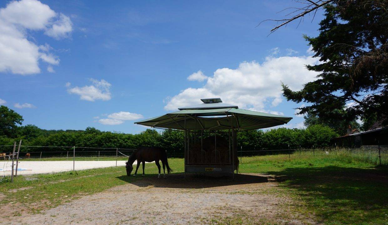 Equestrian property  Allier