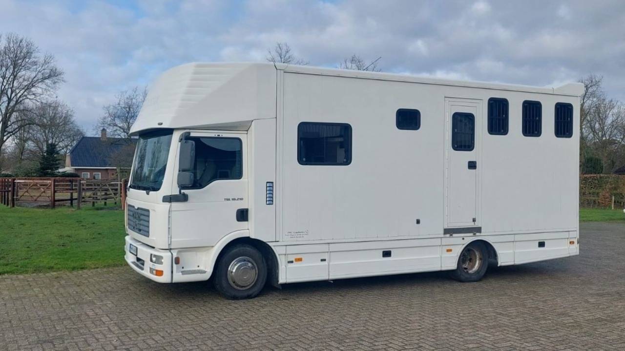Horsebox NON-HGV Man MAN 0 Used