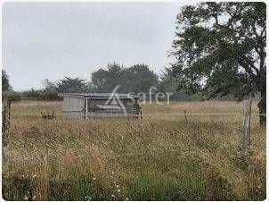 Other agricultural property  Loire-Atlantique