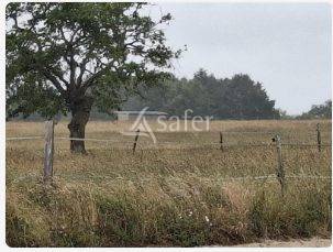 Other agricultural property  Loire-Atlantique