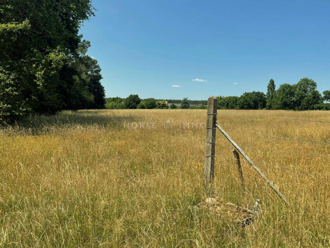 Equestrian property  Maine-et-Loire
