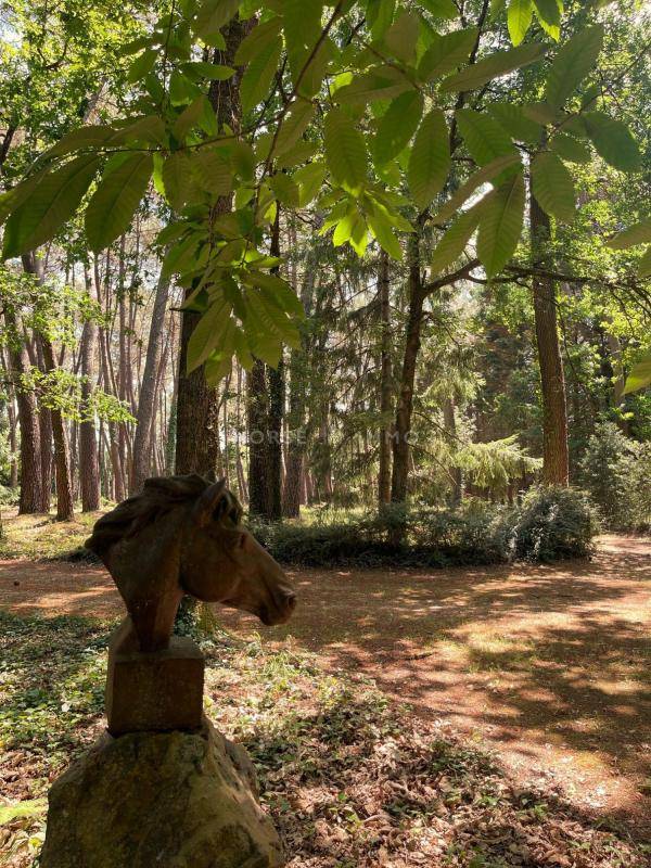 Equestrian property  Maine-et-Loire