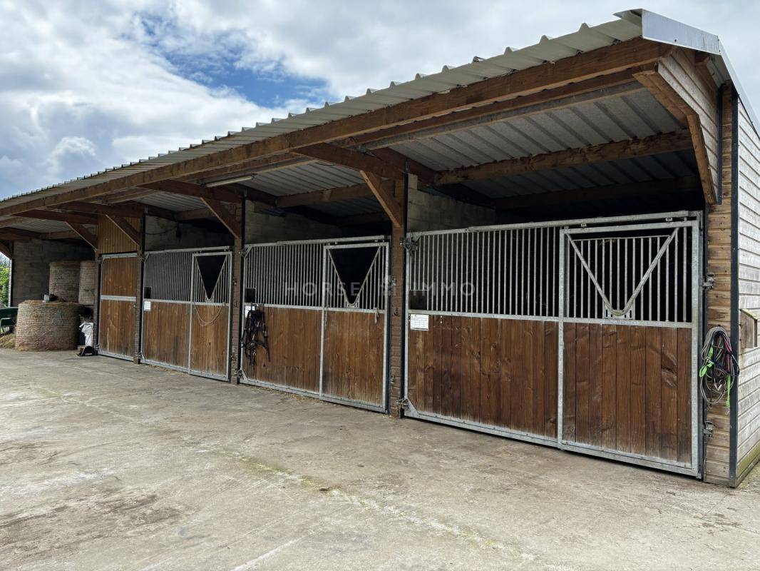 Equestrian property  Morbihan