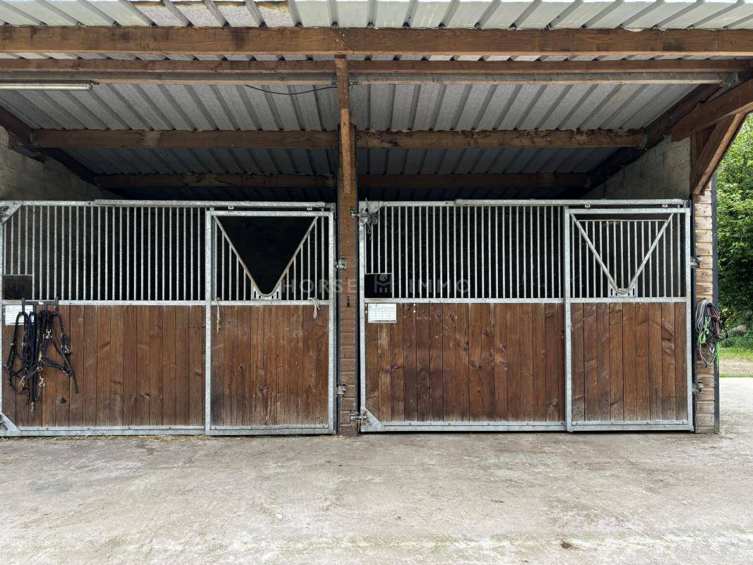 Equestrian property  Morbihan