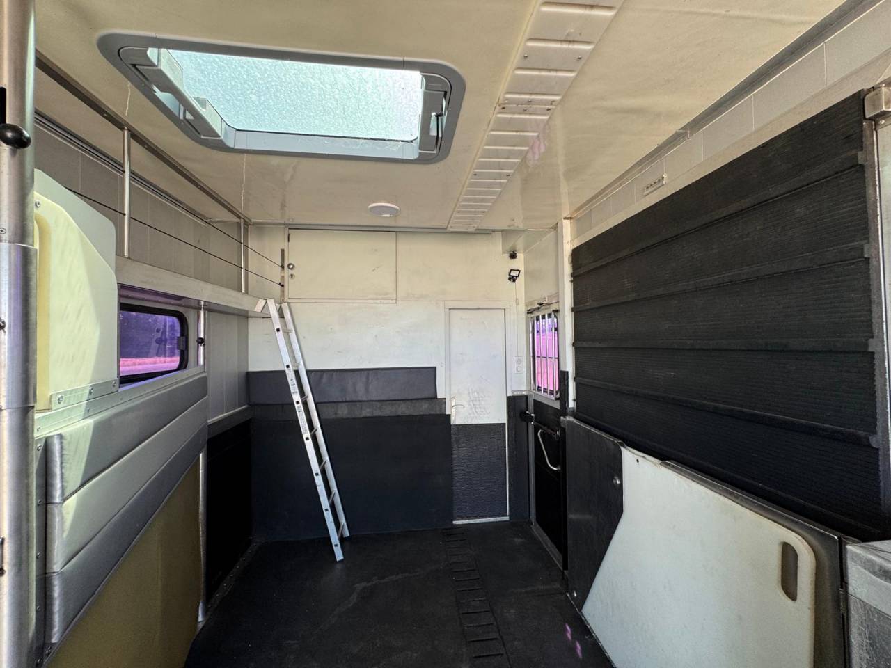 Horsebox NON-HGV Iveco STX 2007 Used