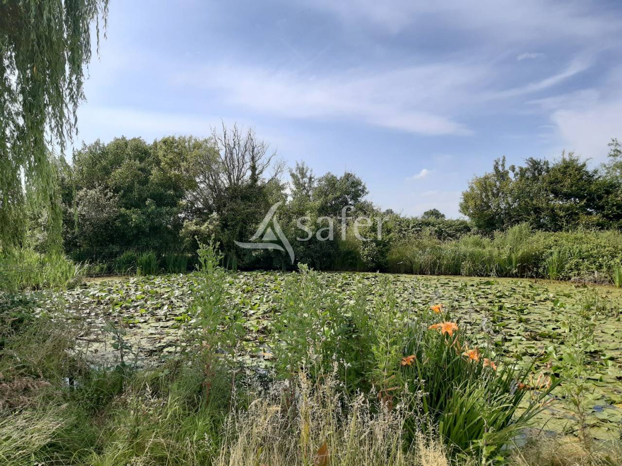 Other country property  Vienne