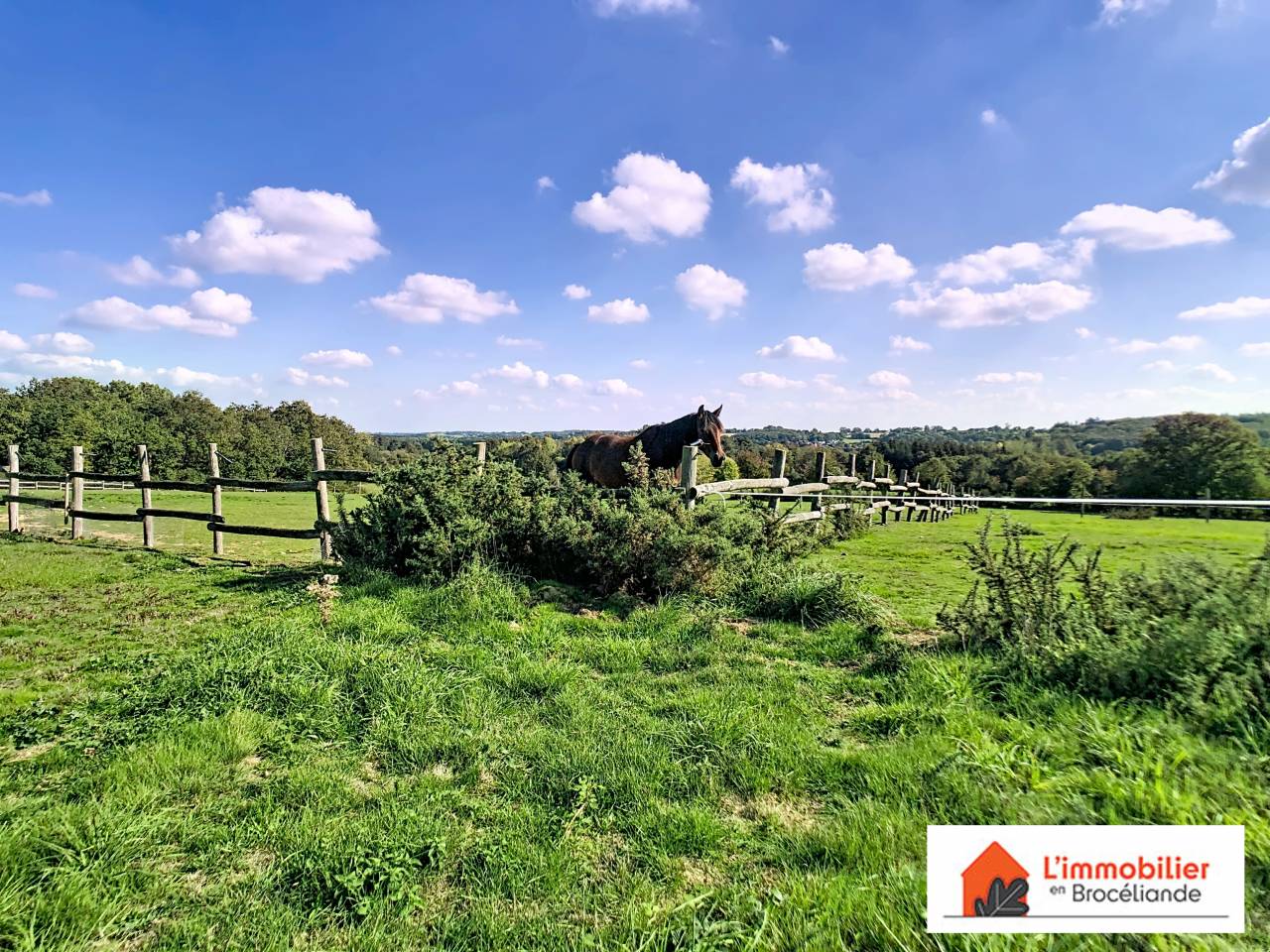 Luxurious equestrian property  Ile-et-Vilaine