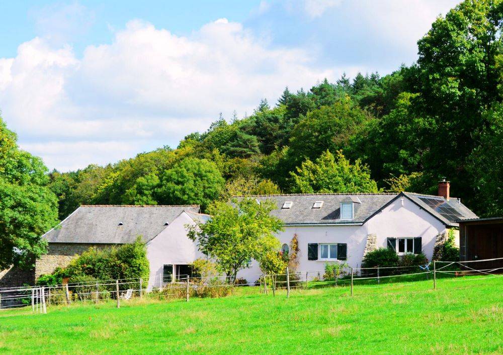 Luxurious equestrian property  Sarthe