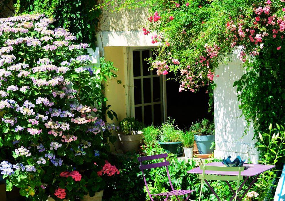 Luxurious equestrian property  Sarthe