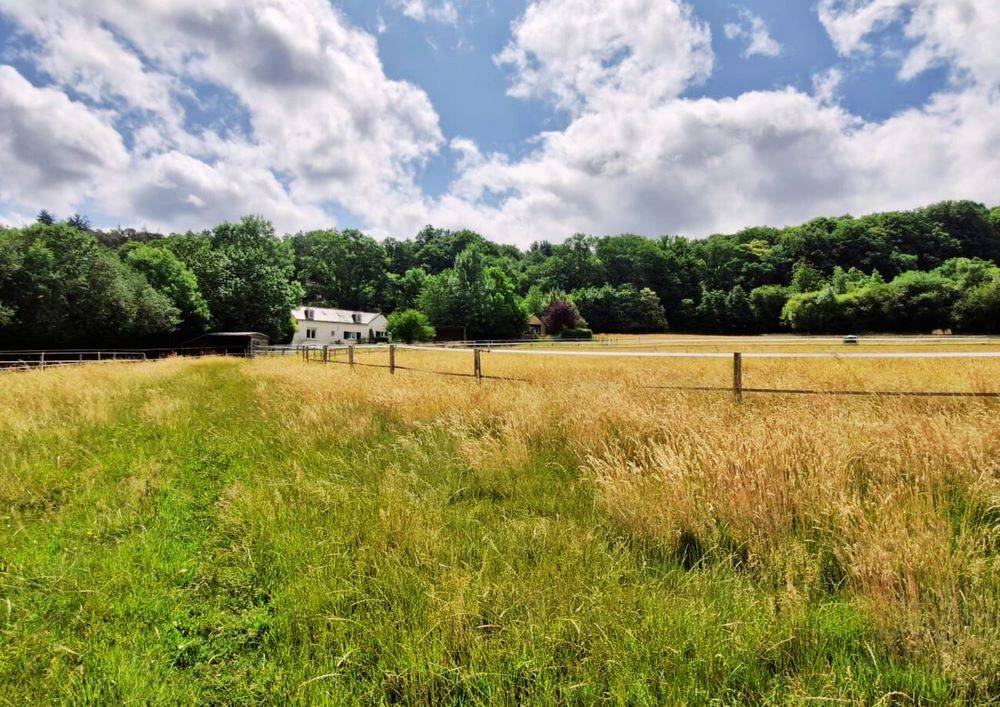 Luxurious equestrian property  Sarthe