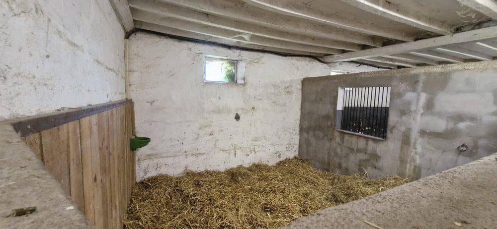 Luxurious equestrian property  Sarthe