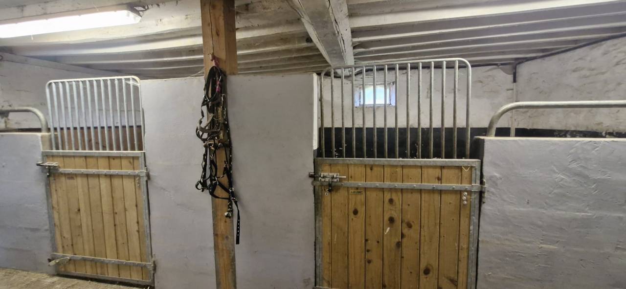 Luxurious equestrian property  Sarthe