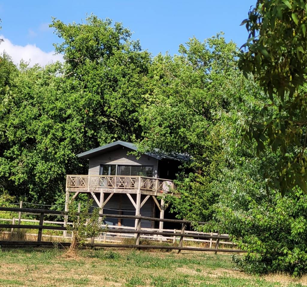 Luxurious equestrian property  Charente-Maritime