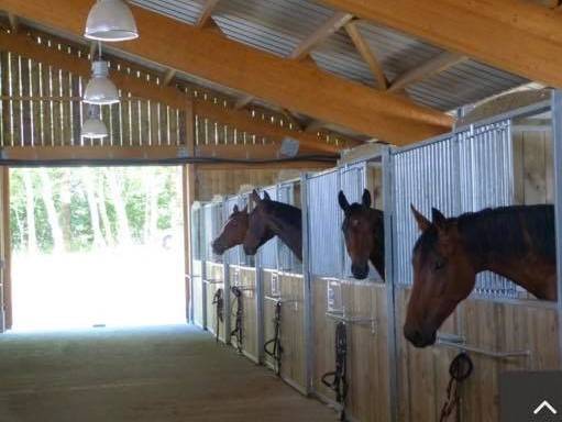 Luxurious equestrian property  Charente-Maritime