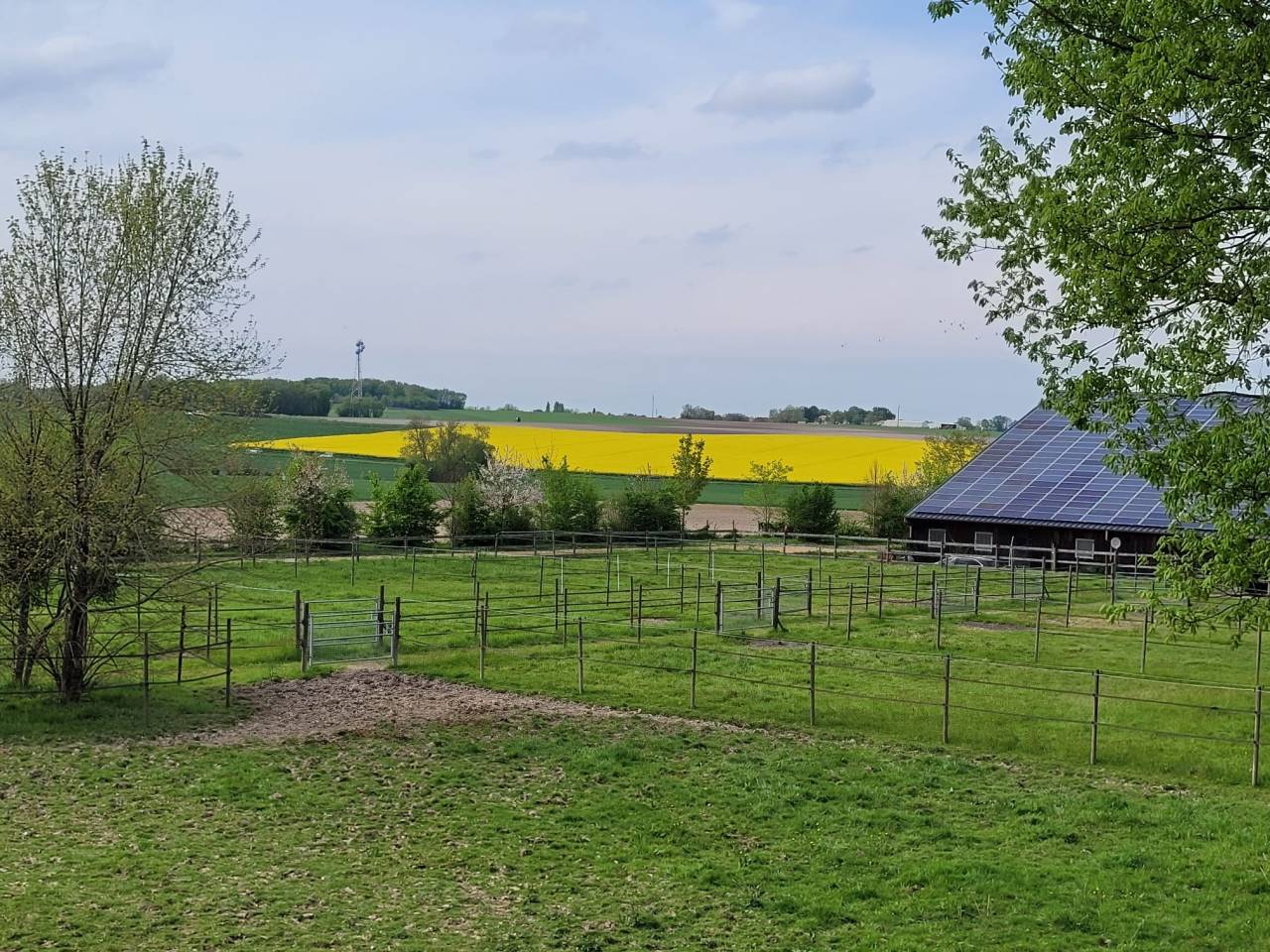 Luxurious equestrian property  Charente-Maritime