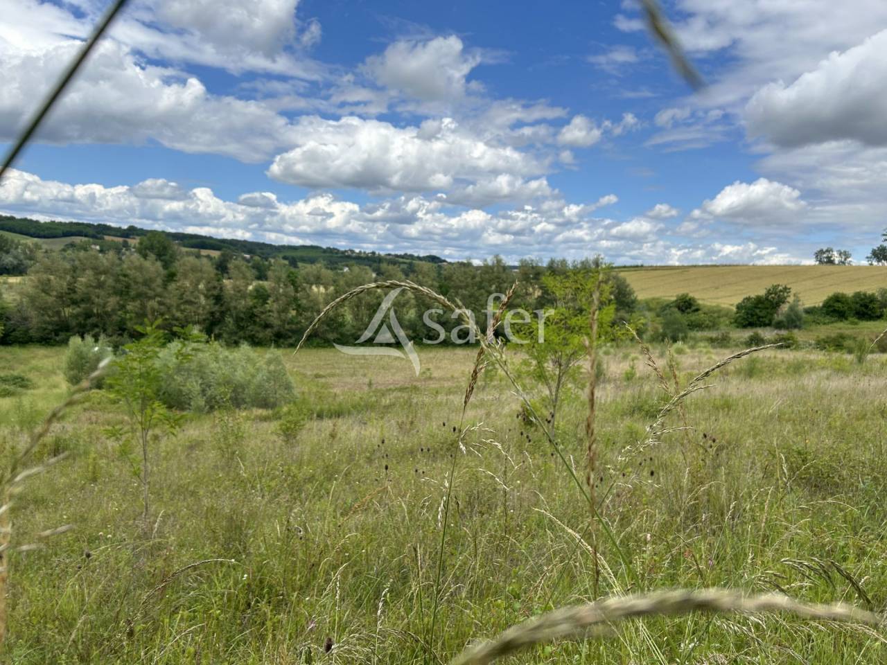 Other agricultural property  Lot-et-Garonne
