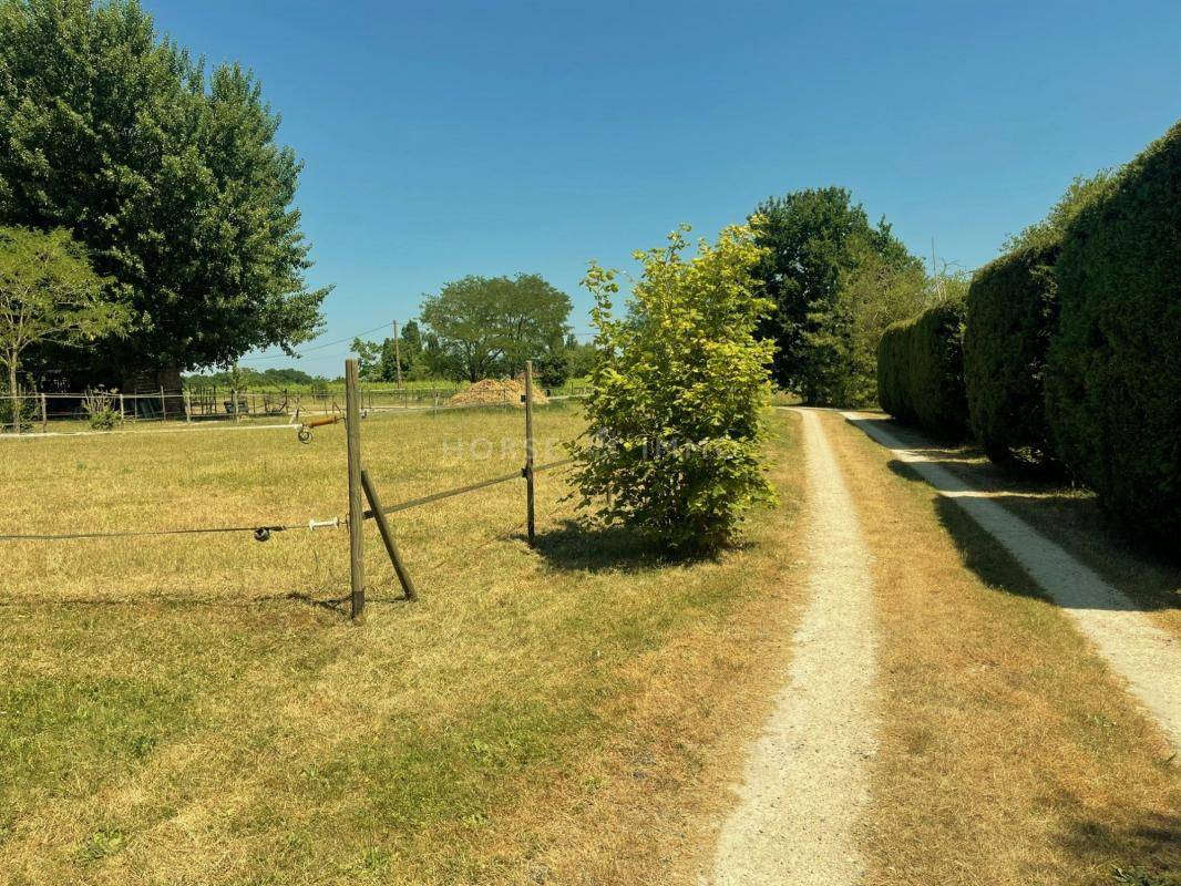 Equestrian property  Loir-et-Cher