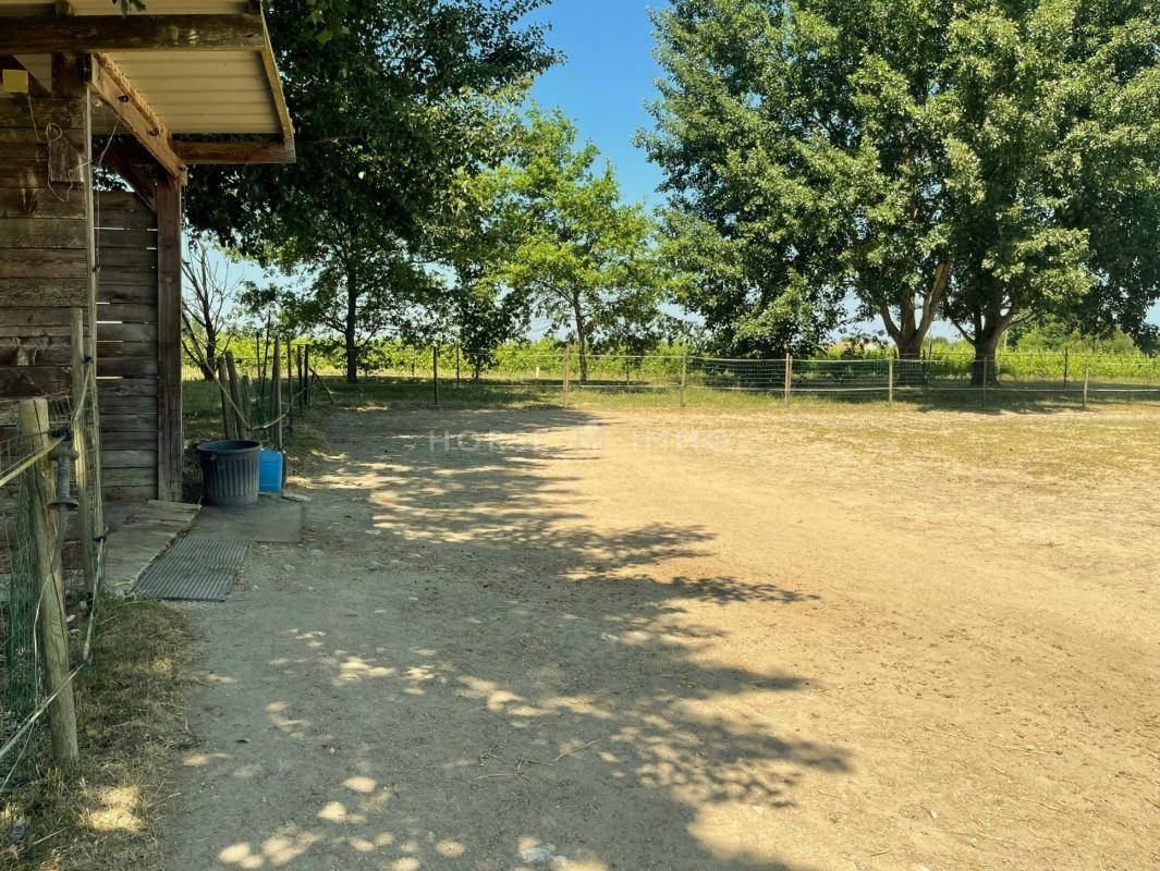 Equestrian property  Loir-et-Cher