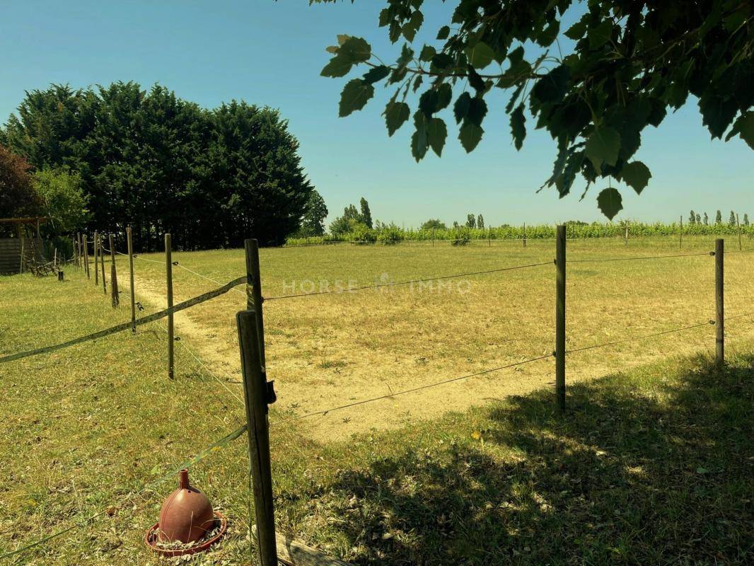 Equestrian property  Loir-et-Cher