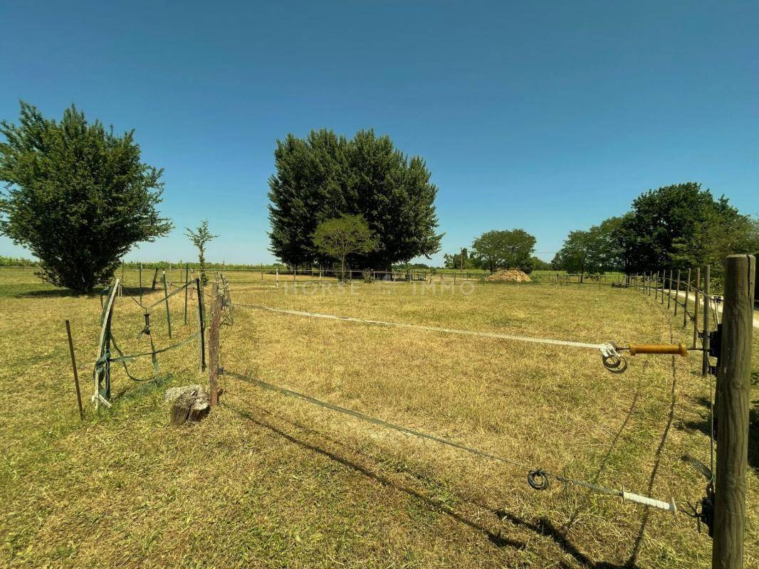 Equestrian property  Loir-et-Cher