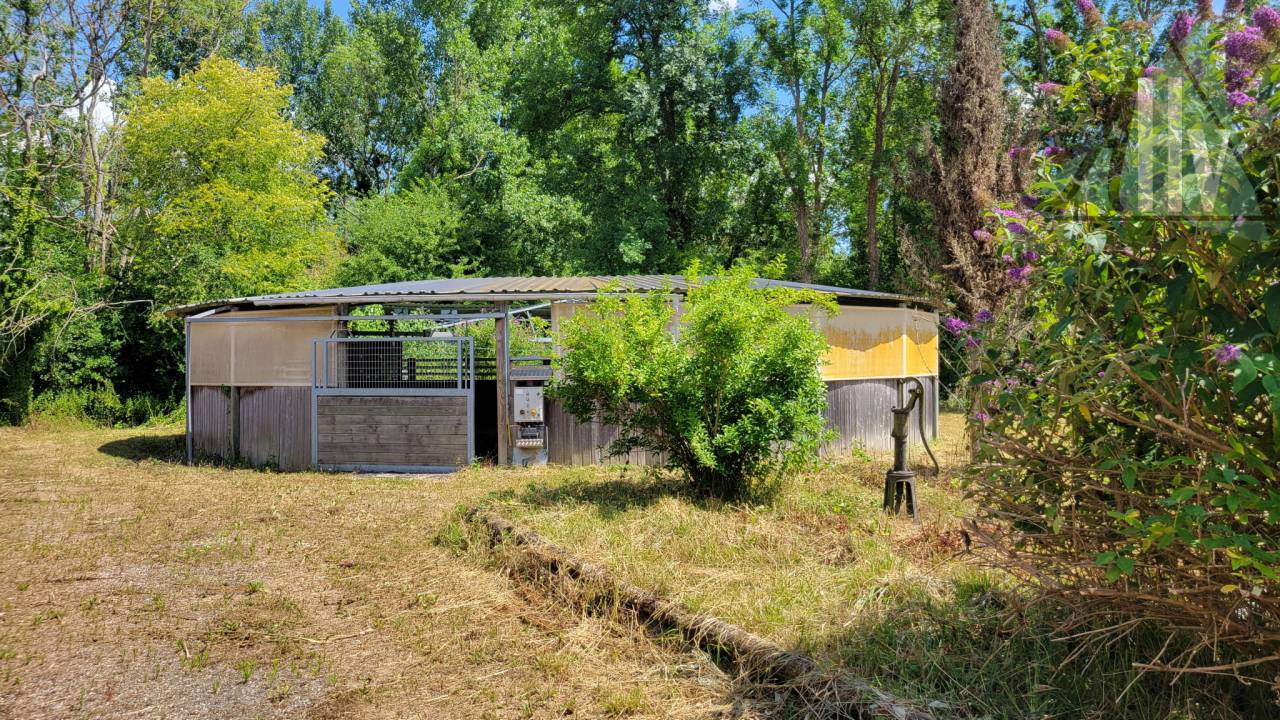 Livery yard  Seine-et-Marne