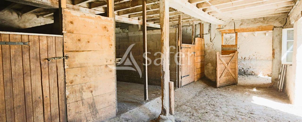 Equestrian property  Puy-de-Dôme