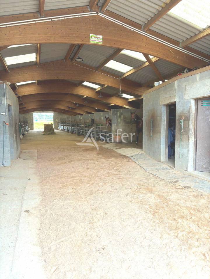 Equestrian property  Manche