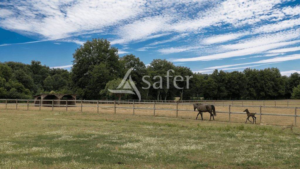 Equestrian property  Maine-et-Loire