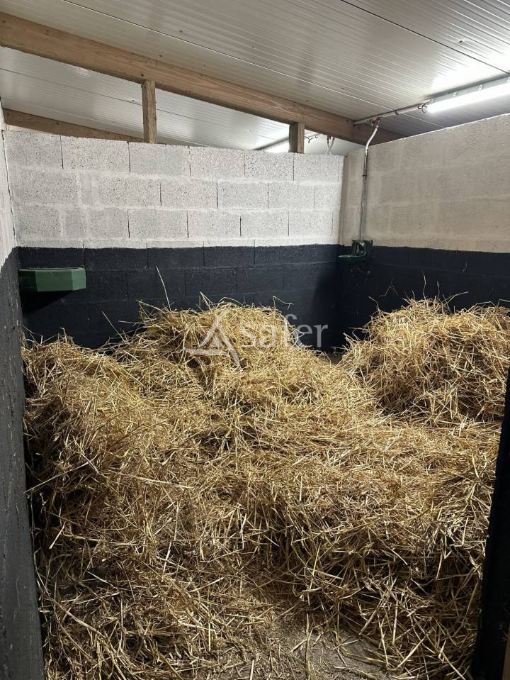 Equestrian property  Maine-et-Loire