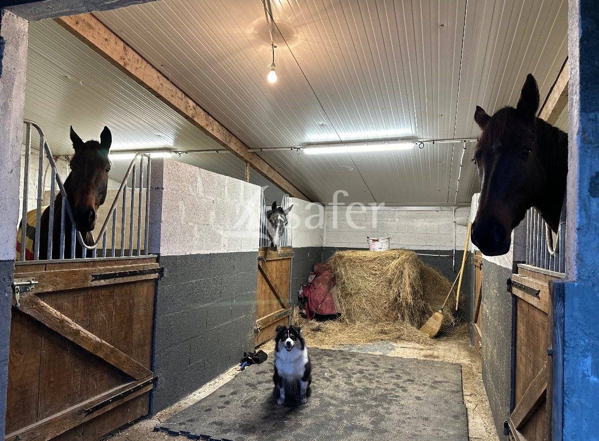 Equestrian property  Maine-et-Loire