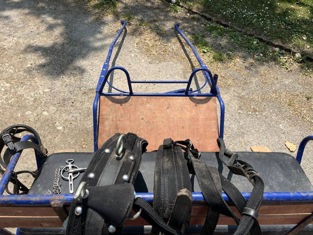 Carriage - Road coach - Other brand - Equip Horse 