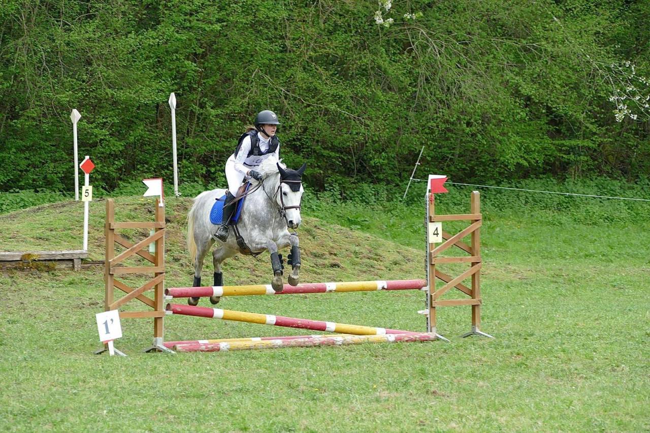 Mare Origin Recorded For sale 2019 Grey